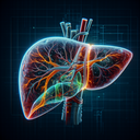 МРТ печінки